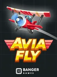 Avia Fly crash at F333 COM